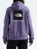 The North Face Evolution Box Nse Hoodie Fall 2026
