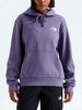 The North Face Evolution Box Nse Hoodie Fall 2026