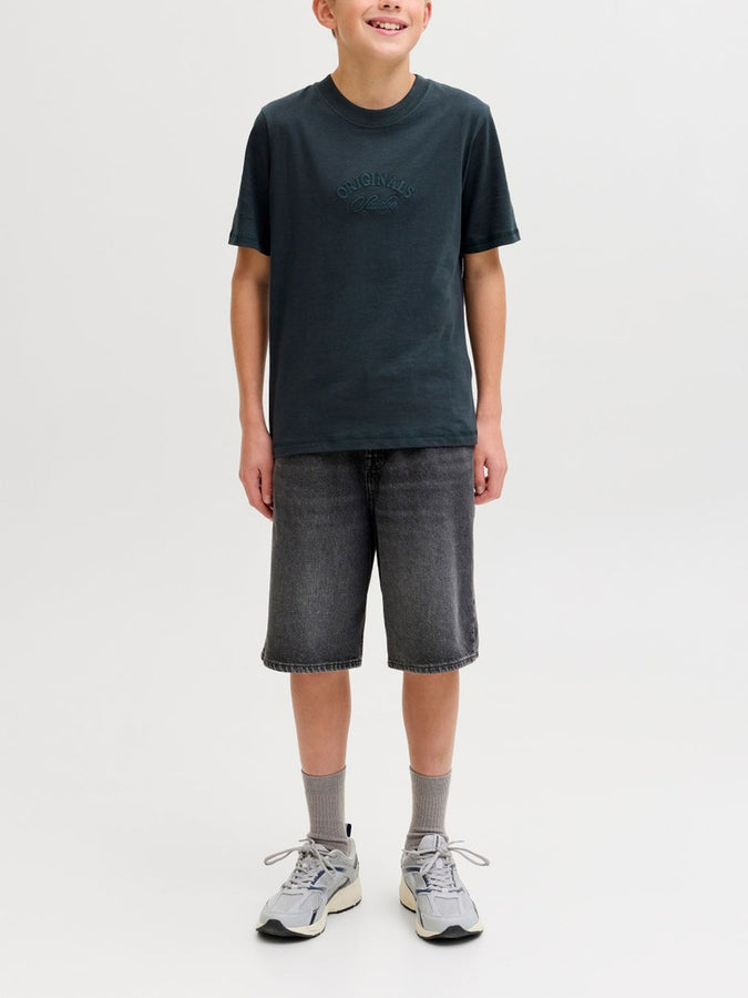Jack Jones Alex Original SQ 175 Shorts Summer 2026 | BLACK DENIM