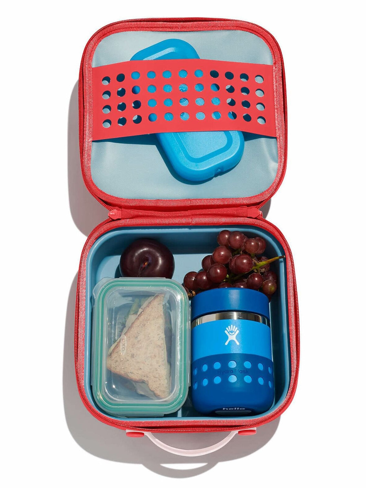 Hydro Flask Insulated Goji Lunch Box Fall 2024