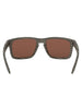 Oakley Holbrook Woodgrain/Prizm Deep H2O Polarized Sunglasses