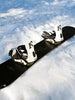 Ride Drone 2027 – Bindings