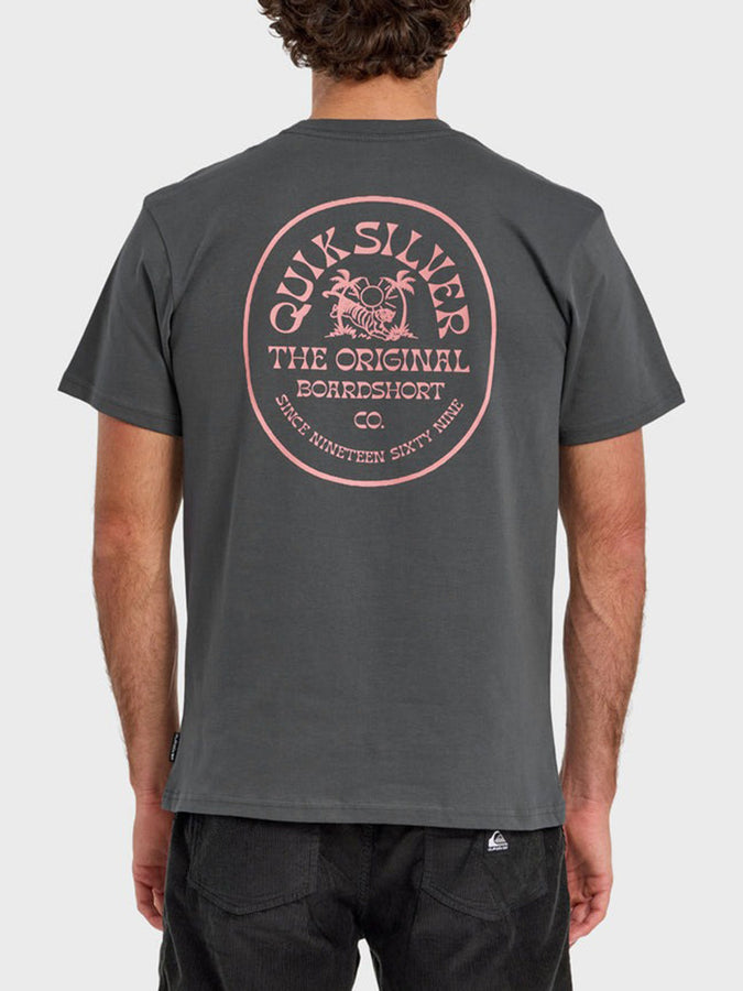 Quiksilver In The Wild  T-Shirt Spring 2026 | IRON GATE (KZM0)