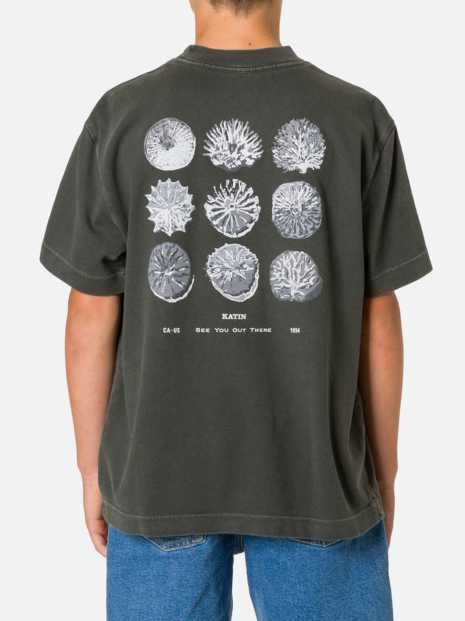 Katin Specimen Box Fit T-Shirt Spring 2026 | BLACK WASH