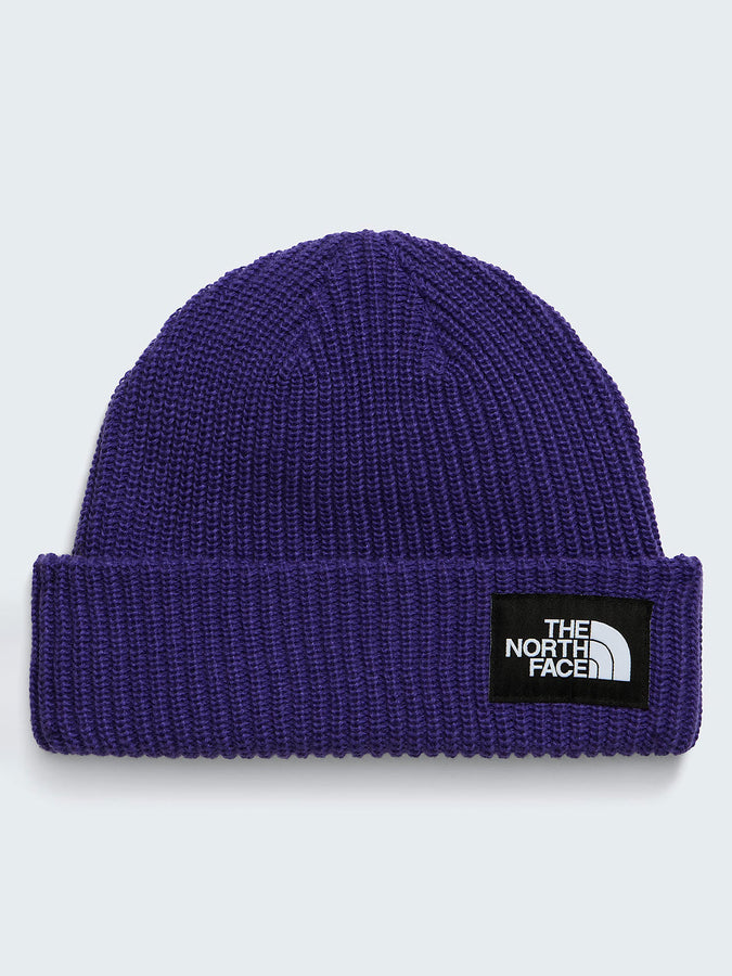The North Face Salty Lined Beanie | PEAK PURPLE (NL4)