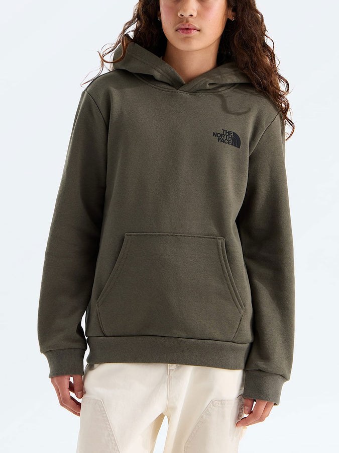The North Face Evolution Print Box NSE Hoodie Fall 2026 | NEW TAUPE GREEN/TPE GRN (04B)