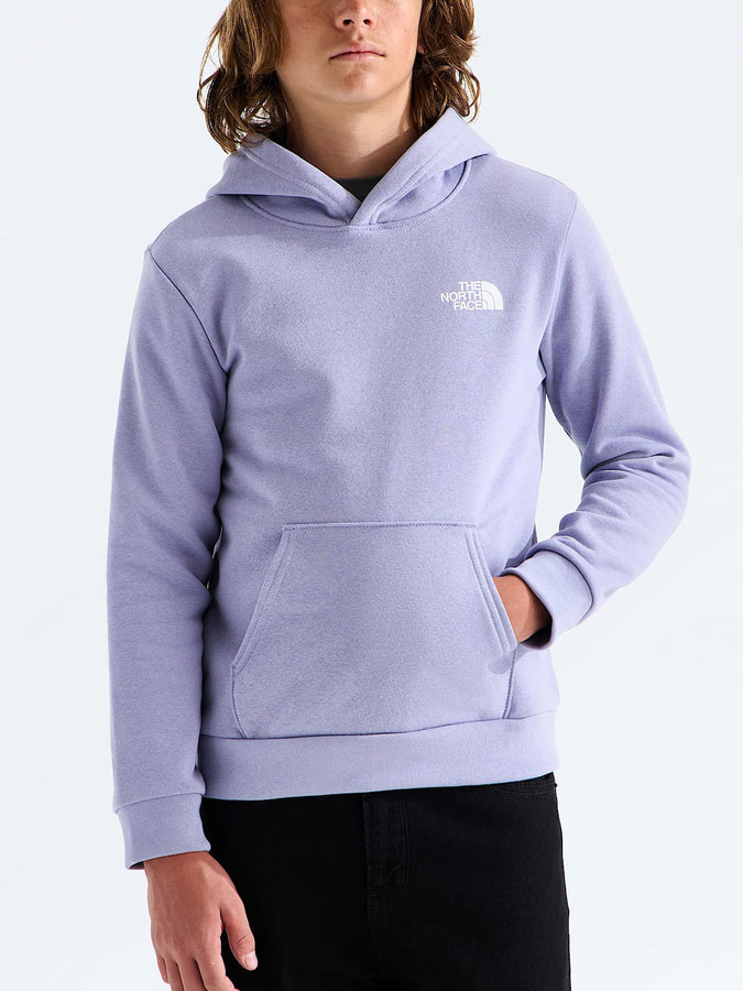 The North Face Evolution Box Nse Pullover Hoodie Fall 2026 | PALE PLUM (NO5)