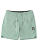 Vissla Solid Sets Ecolastic Shorts Spring 2026