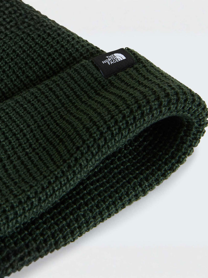 The North Face Tnf Fisherman Beanie | BOTTLE GREEN (NLW)
