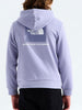The North Face Evolution Box Nse Pullover Hoodie Fall 2026