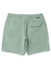 Vissla Solid Sets Ecolastic Shorts Spring 2026