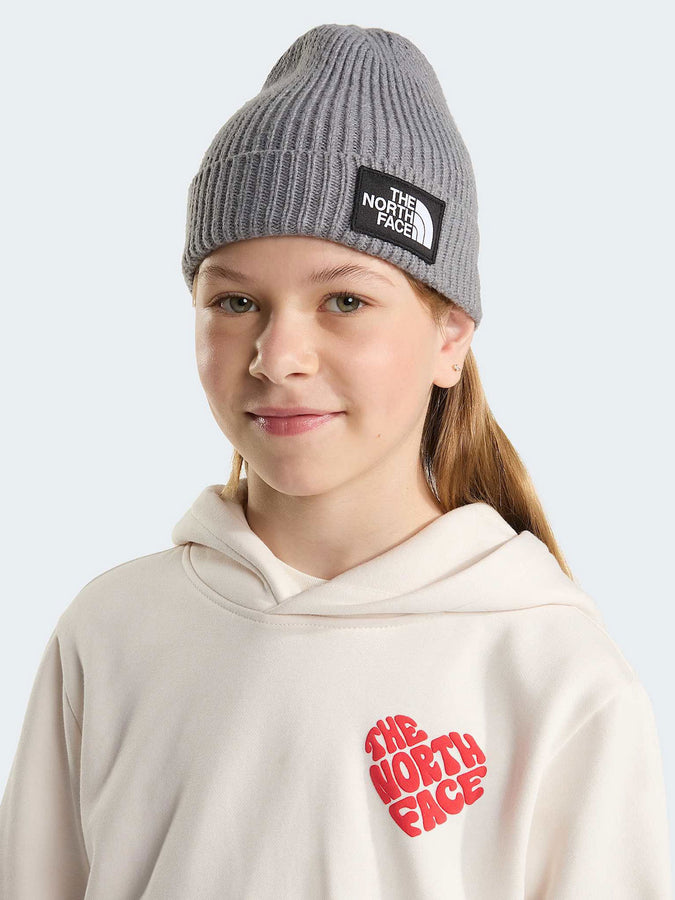 The North Face Tnf Logo Box Cuffed Beanie | TNF MEDIUM GREY HTR (DYY)