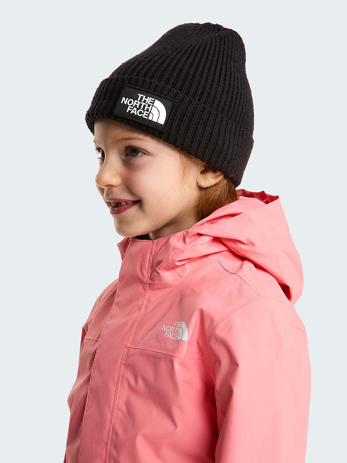 The North Face Tnf Logo Box Cuffed Beanie | TNF BLACK (JK3)