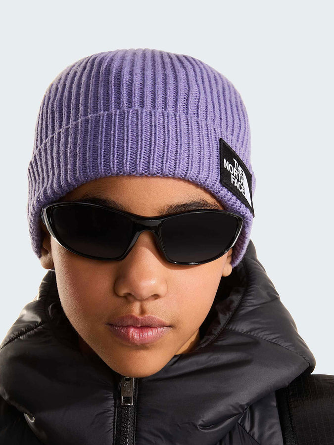 The North Face Tnf Logo Box Cuffed Beanie | GROUNDED PLUM (NNK)