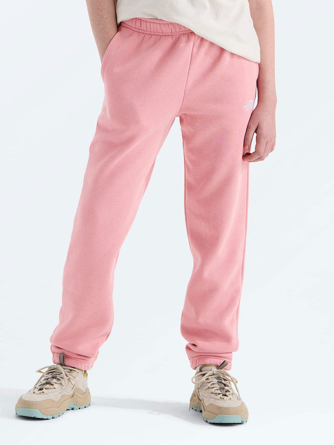 The North Face Evolution Simple Dome Pants Fall 2026 | PRIMROSE (NO9)