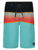 Quiksilver Evereyday Panel Boardshorts Spring 2026