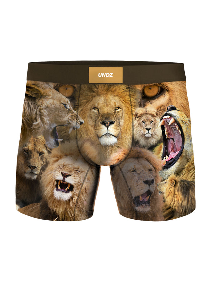 Undz Lions Boxer | LIONS