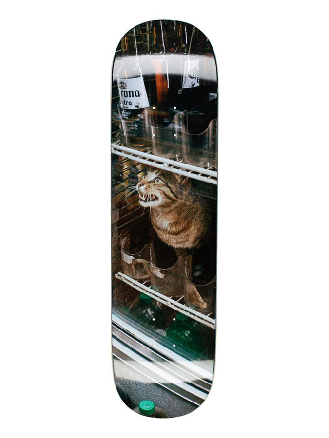 Gx1000 Bodega Cat 8.375