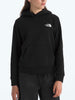 The North Face Evolution Box Nse Pullover Hoodie Fall 2026