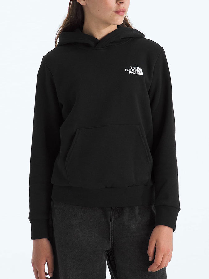 The North Face Evolution Box Nse Pullover Hoodie Fall 2026 | TNF BLACK (JK3)