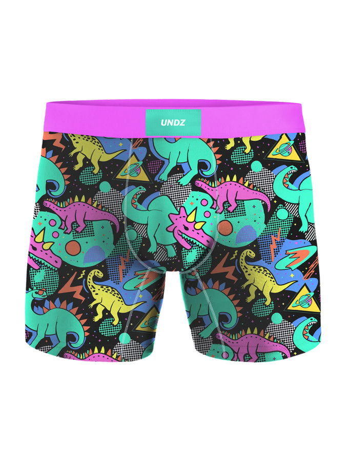 Undz Classic Dinosaures Boxer | DINOSAURES
