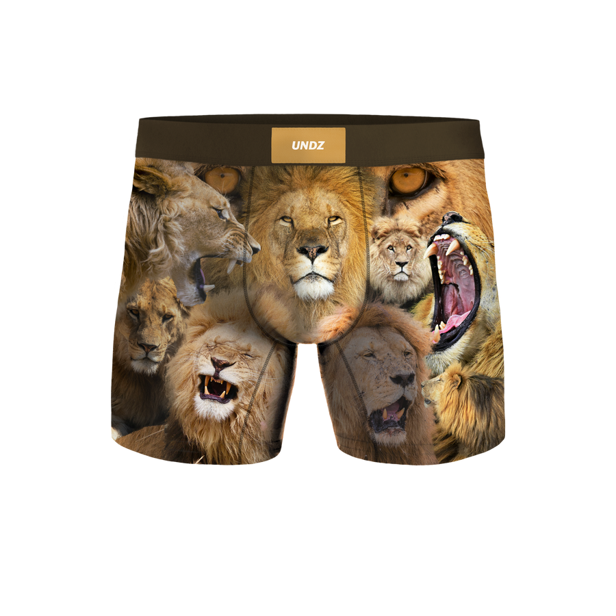 Classic Lions Boxer