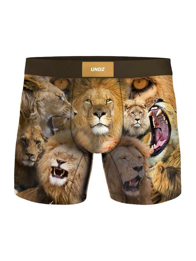 Undz Lions Boxer | LIONS