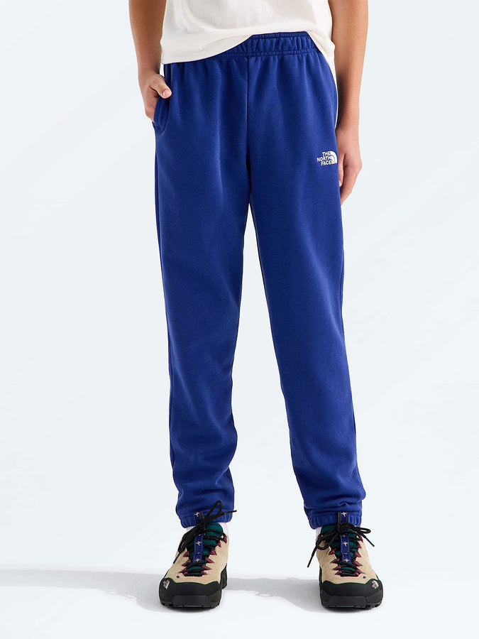 The North Face Evolution Simple Dome Pants Fall 2026 | BOLD BLUE (NLV)