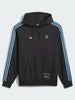 Adidas x Thrasher Argentina Hoodie Summer 2026