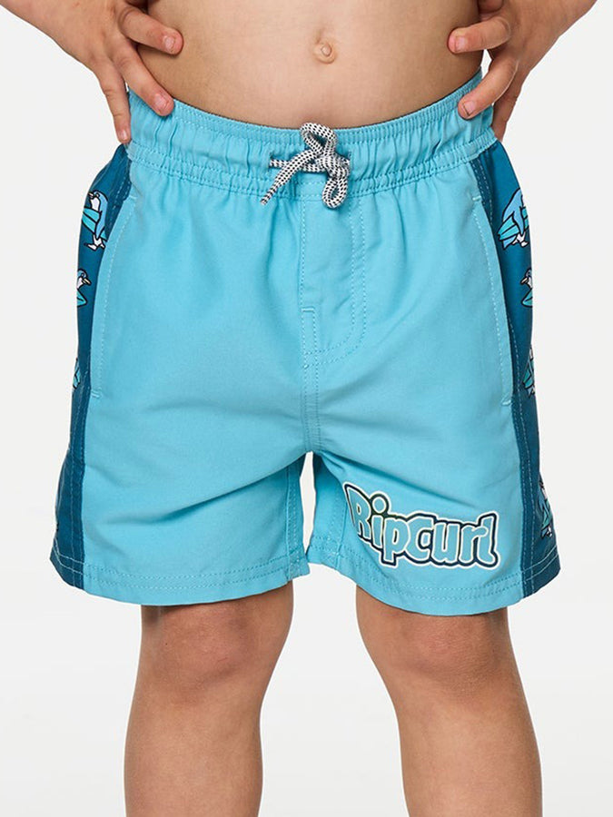 Rip Curl Paddle Out Panel Volley Boardshorts Fall 2026 | WAVE POOL (2917)