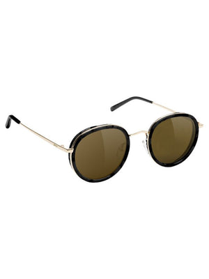 Glassy Lincoln Sunglasses