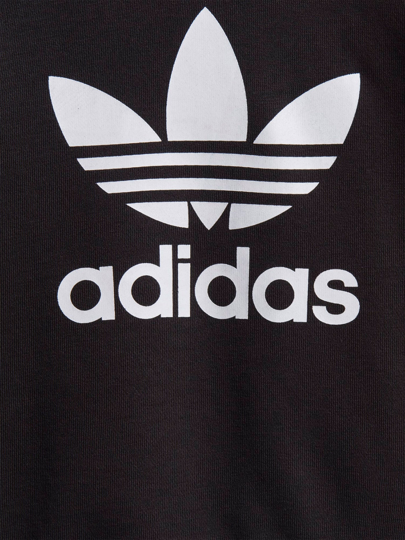 Adidas Adicolor Crewneck Sweatshirt