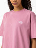 Dickies Spring 2023 Summerdale T-Shirt