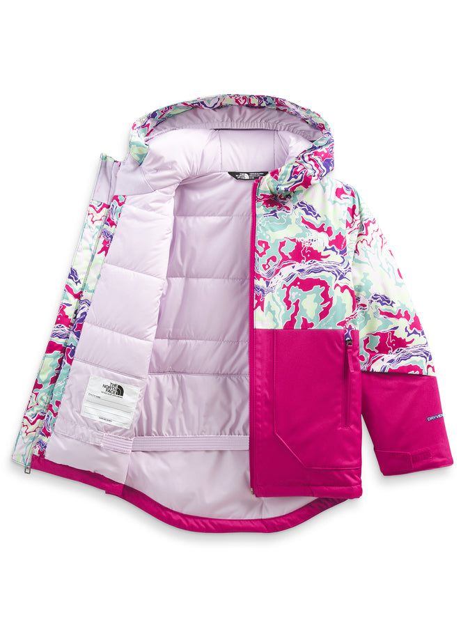 The North Face Freedom Insulated Snowboard Jacket 2023 | PEAK PURPLE MULTI (95H)