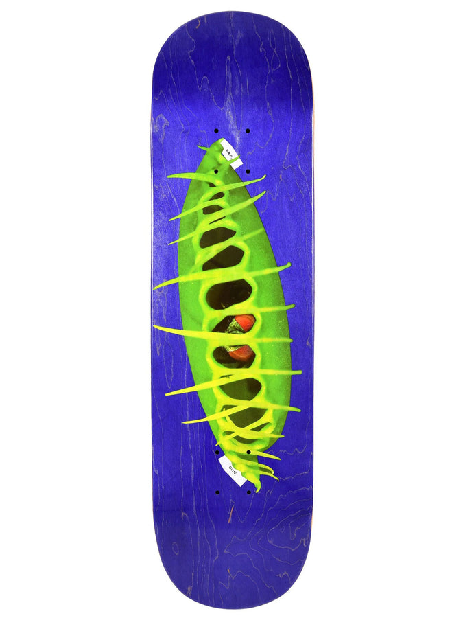 Glue Ostrowski Fly Trap 8.5 Skateboard Deck | PURPLE
